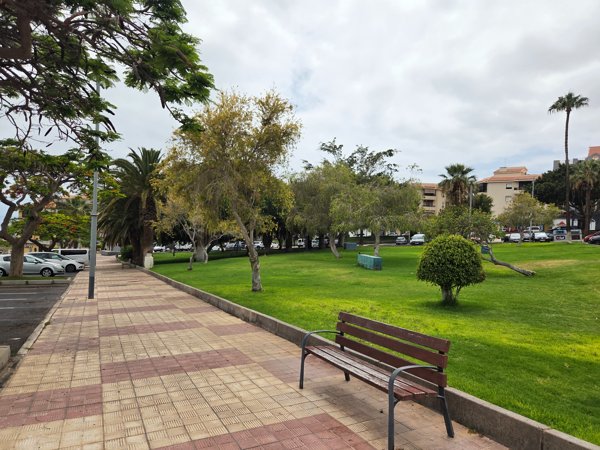Park mit Bäumen und einem Blick auf das Denkmal am Feuerwehrplatz von Adeje.